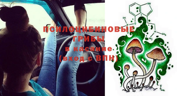 бошки Алексин