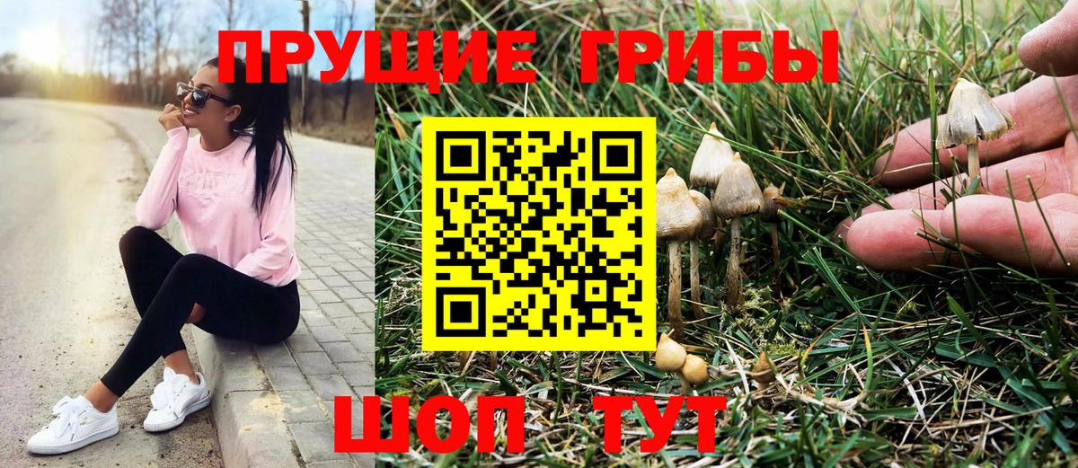 Галлюциногенные грибы Cubensis Первоуральск